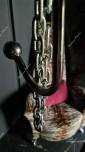 photo 1788341198660