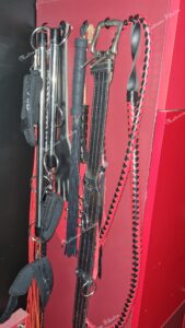 photo 1788341317956